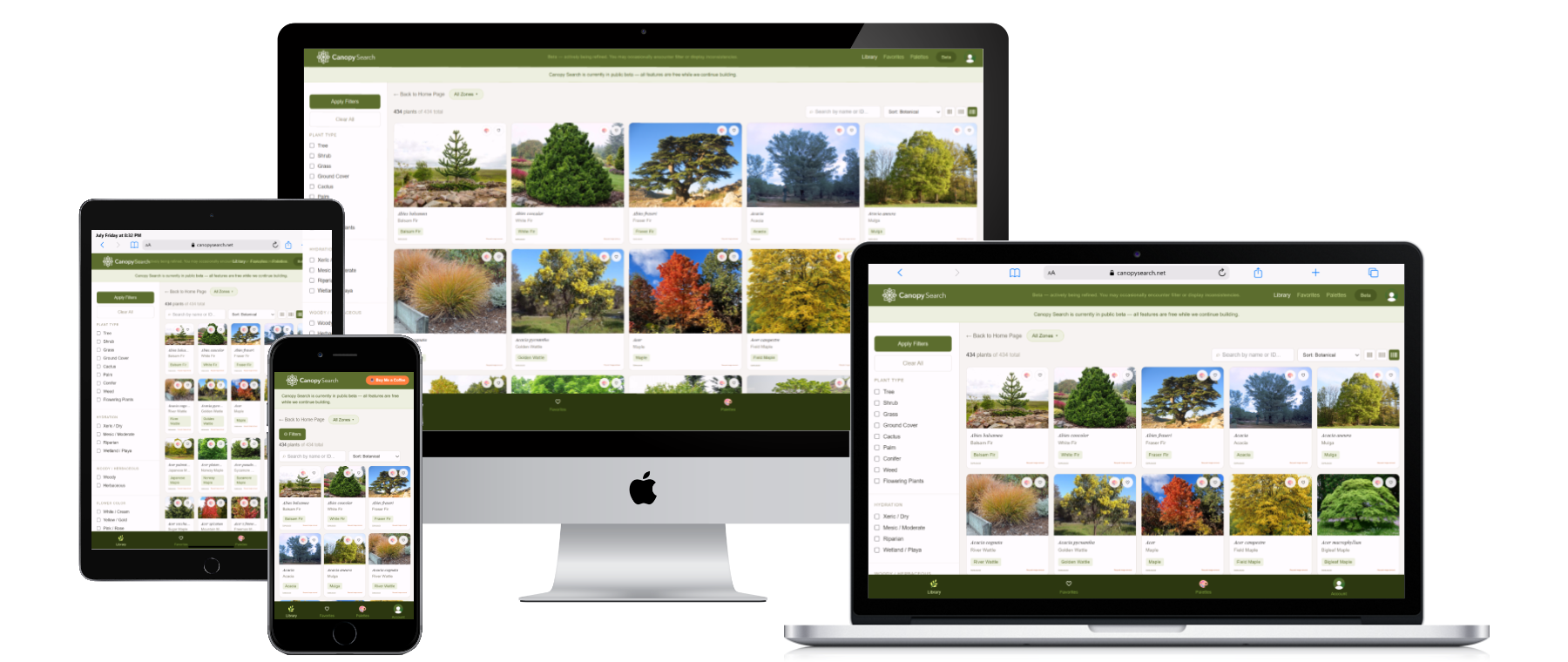 Canopy Search web application